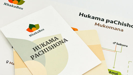 Hukama PaChiShona Chart: Visual Guide to 14 Shona Family Titles