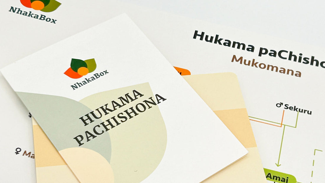 Hukama PaChiShona Chart: Visual Guide to 14 Shona Family Titles